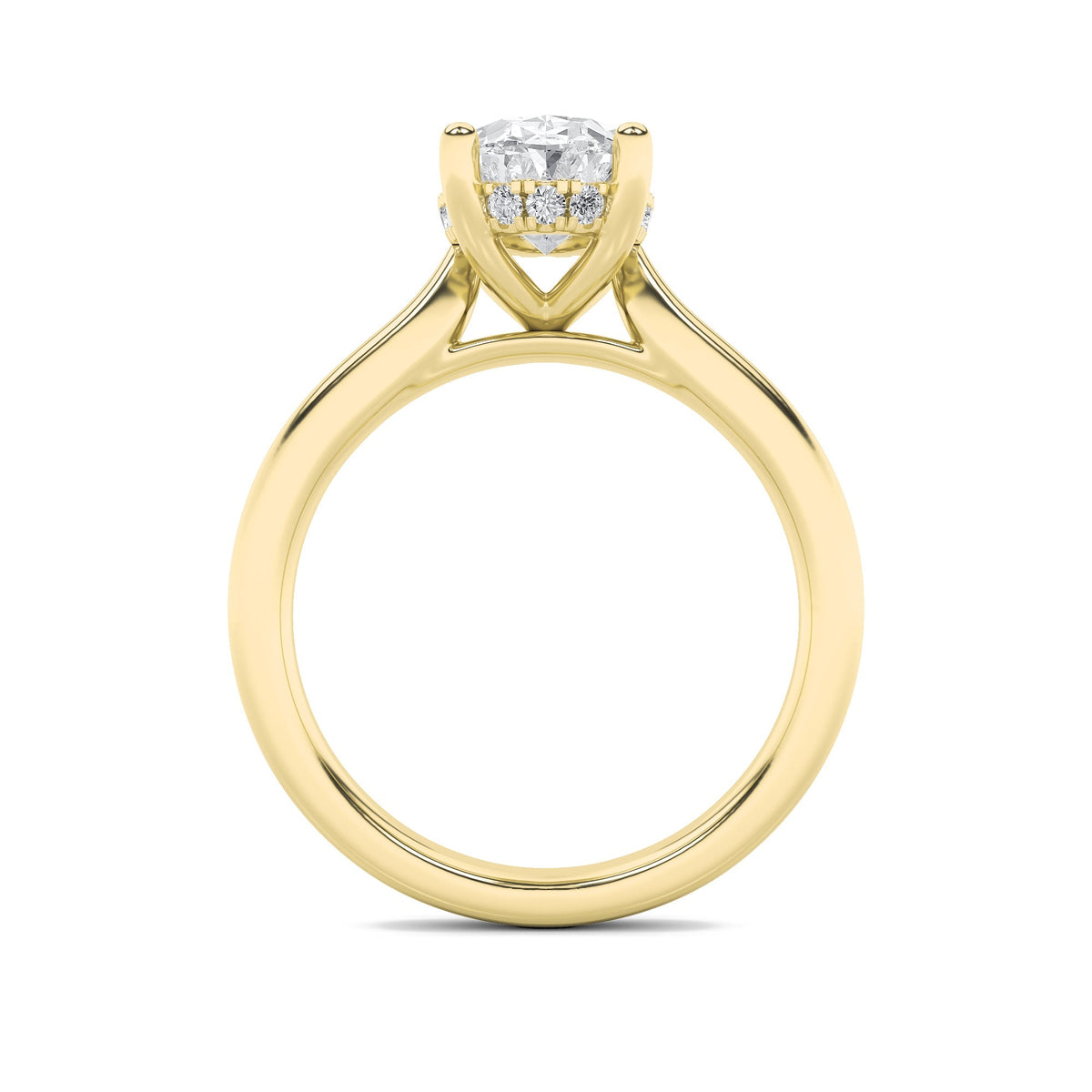 3CTW Oval Lab-Grown Diamond Prong Hidden Halo Cathedral Shank Engagement Ring 17 Stones