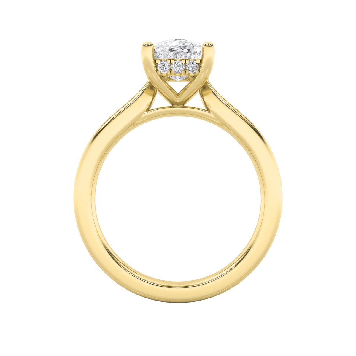 1CTW Elongated Cushion Lab-Grown Diamond Prong Hidden Halo Cathedral Shank Engagement Ring 11 Stones