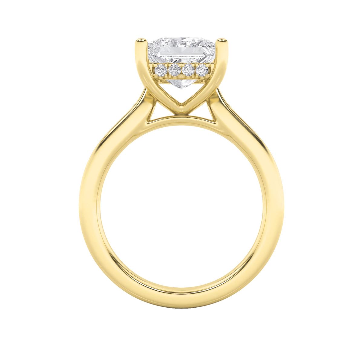 3CTW Princess Lab-Grown Diamond Prong Hidden Halo Cathedral Shank Engagement Ring 17 Stones