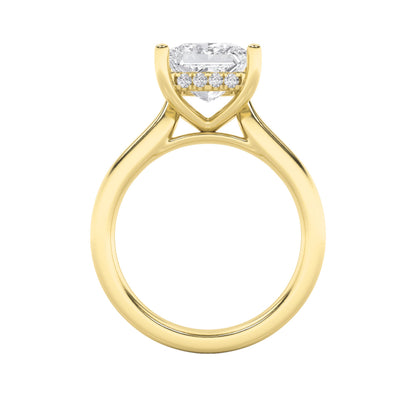 3CTW Princess Lab-Grown Diamond Prong Hidden Halo Cathedral Shank Engagement Ring 17 Stones