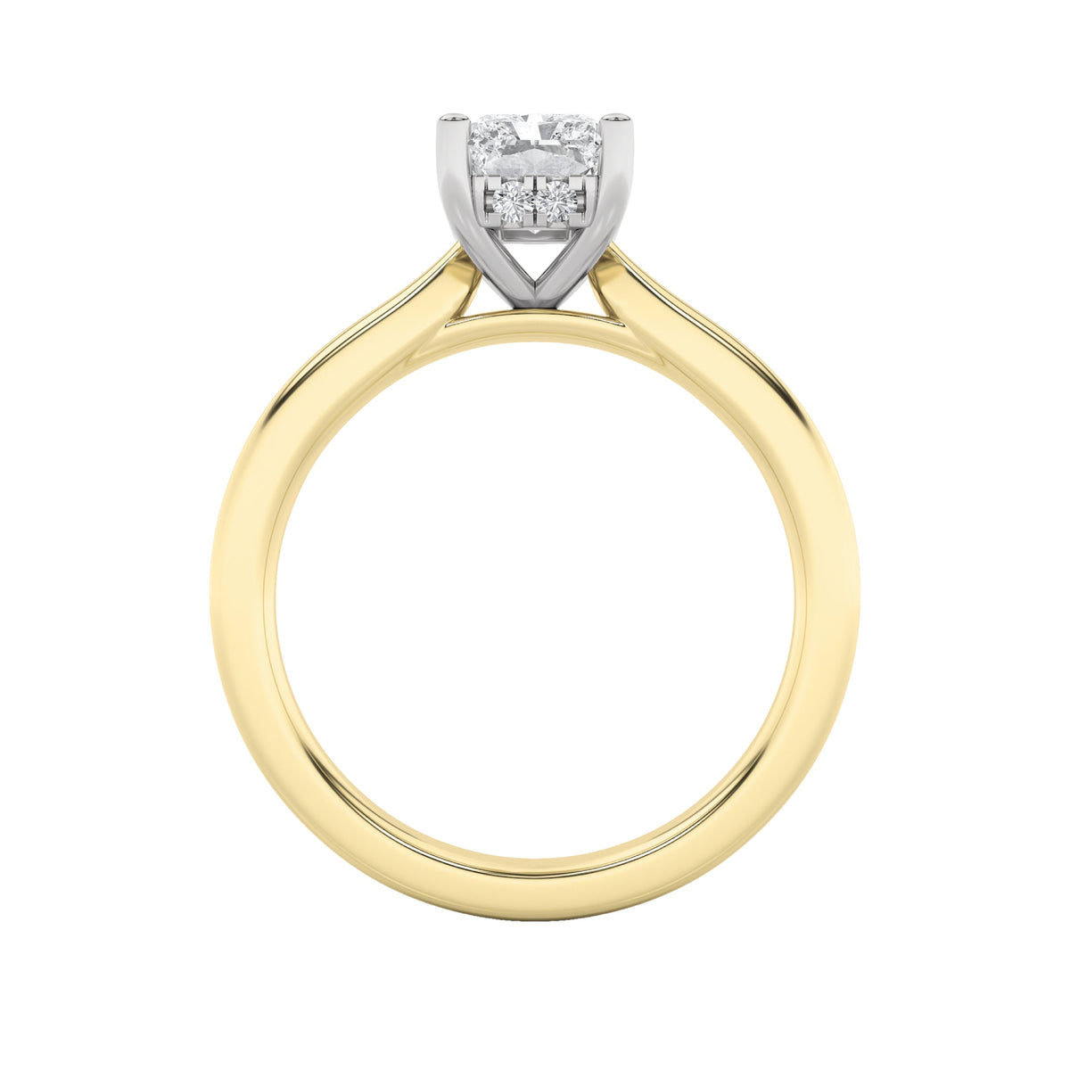 3CTW Radiant Lab-Grown Diamond Prong Hidden Halo Cathedral Shank Engagement Ring 17 Stones