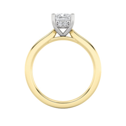 3CTW Radiant Lab-Grown Diamond Prong Hidden Halo Cathedral Shank Engagement Ring 17 Stones
